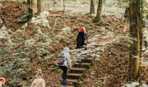 Kräuterwanderung Wildkräuter Beeren Kräutertee Naturverbindung
