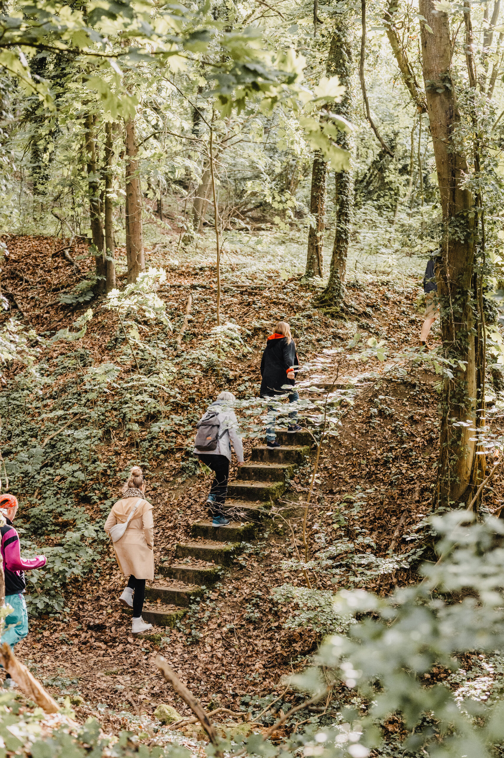 Kräuterwanderung Wildkräuter Beeren Kräutertee Naturverbindung
