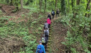 private Gruppe Kräuterwanderung