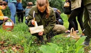 Kräuterwanderung Wildkräuter Kräuter sammeln Breitwegerich