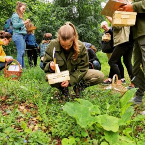 Kräuterwanderung Wildkräuter Kräuter sammeln Breitwegerich
