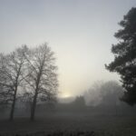 Winter Rückzug Räuchern Wurzelkraft Wurzel Heilkräuter Wildkräuter