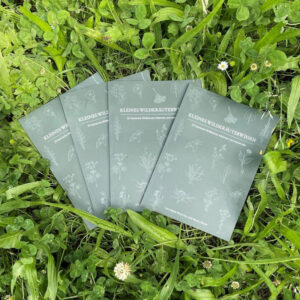Buch: Kleines Wildkräuterwissen (Lerne 22 essbare Wildpflanzen kennen)