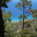 Wald Meer Ikaria Blue Zone