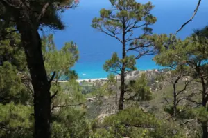 Wald Meer Ikaria Blue Zone