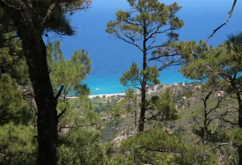 Wald Meer Ikaria Blue Zone